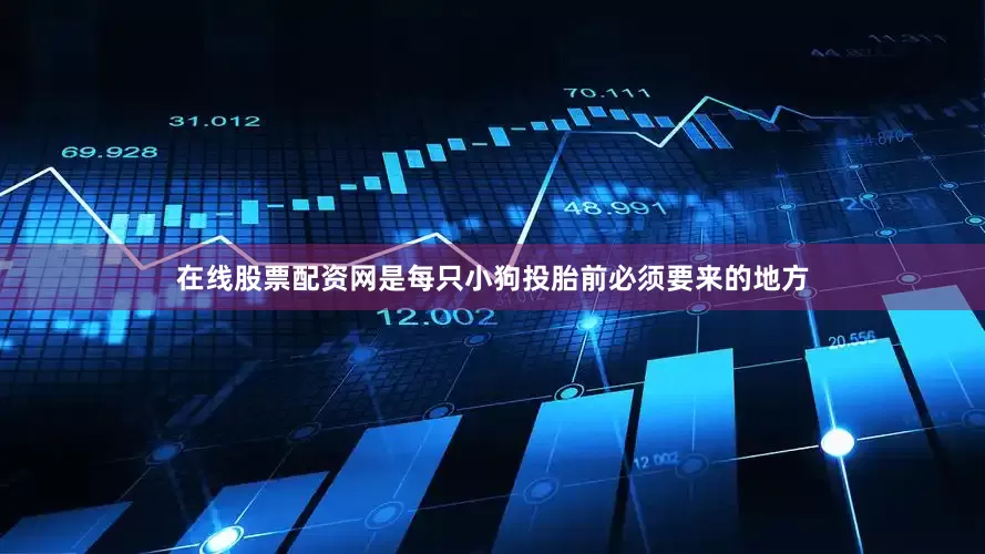 在线股票配资网是每只小狗投胎前必须要来的地方