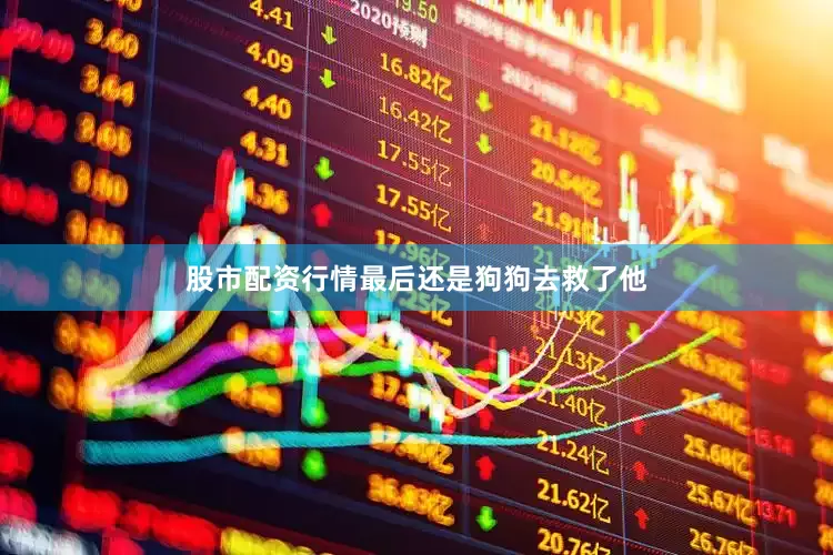 股市配资行情最后还是狗狗去救了他