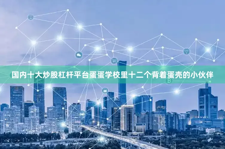 国内十大炒股杠杆平台蛋蛋学校里十二个背着蛋壳的小伙伴
