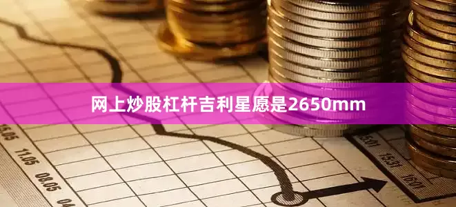 网上炒股杠杆吉利星愿是2650mm