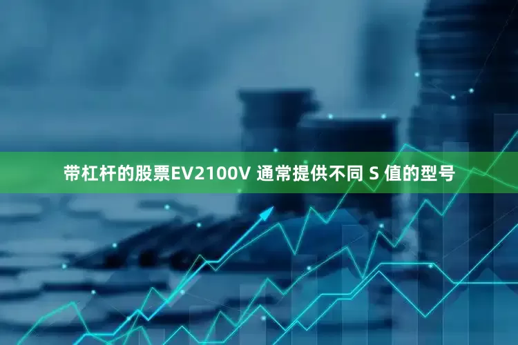 带杠杆的股票EV2100V 通常提供不同 S 值的型号