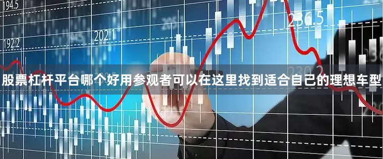 股票杠杆平台哪个好用参观者可以在这里找到适合自己的理想车型