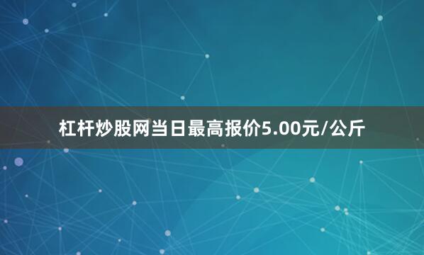 杠杆炒股网当日最高报价5.00元/公斤