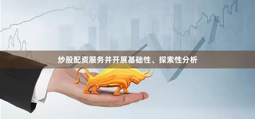炒股配资服务并开展基础性、探索性分析